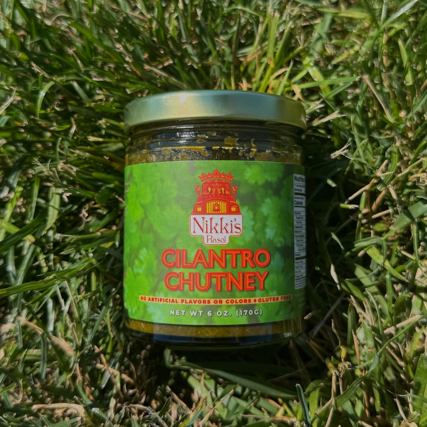 Cilantro Chutney